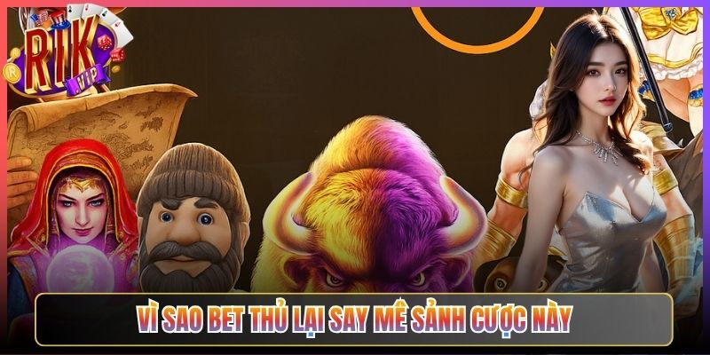 Vì sao bet thủ lại say mê sảnh cược này