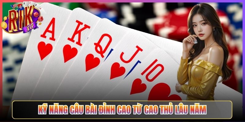 Kỹ năng câu bài đỉnh cao từ cao thủ lâu năm