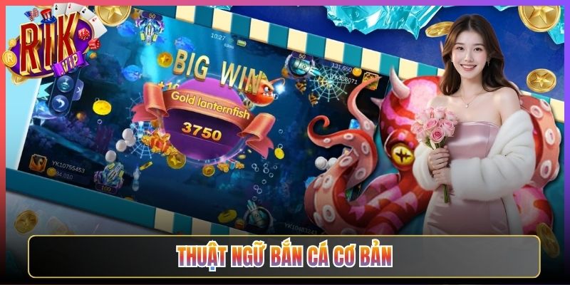 Thuật Ngữ Bắn Cá Cơ Bản Rikvip Dành Cho Bạn