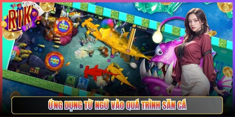 Ứng dụng từ ngữ vào quá trình săn cá
