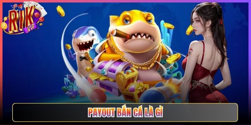 Giải Đáp Payout Bắn Cá Là Gì Rikvip Cho Người Mới