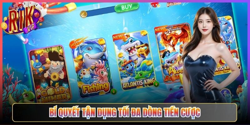 Bí quyết tận dụng tối đa dòng tiền cược